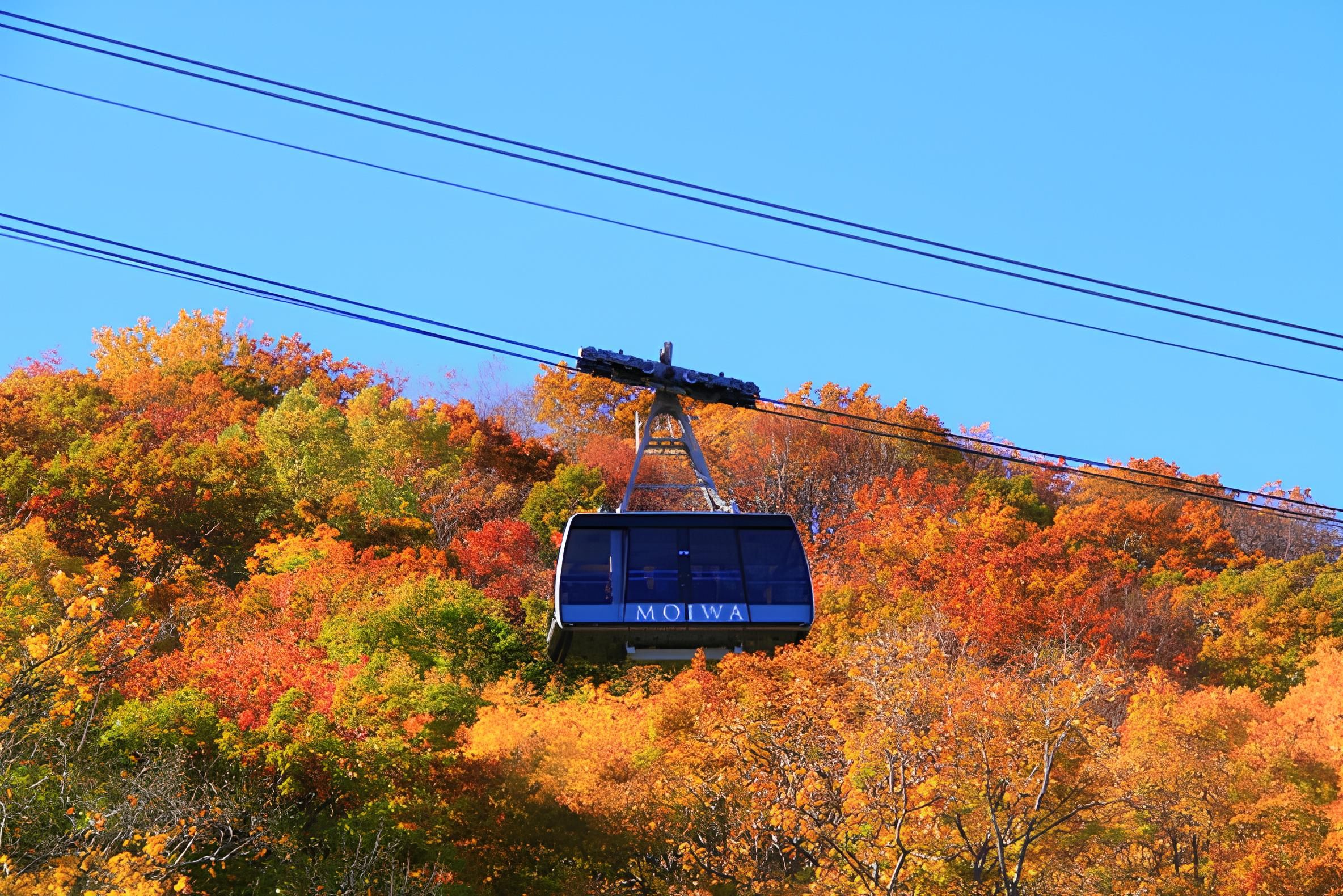 北海道賞楓推薦－札幌藻岩山纜車道