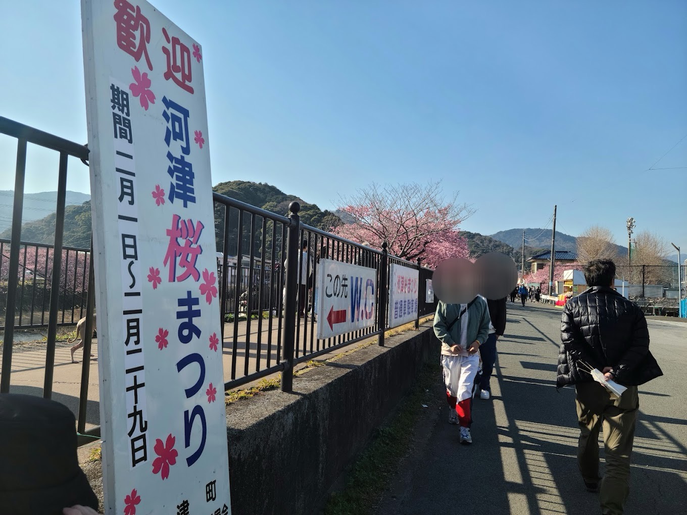 japan sakura024